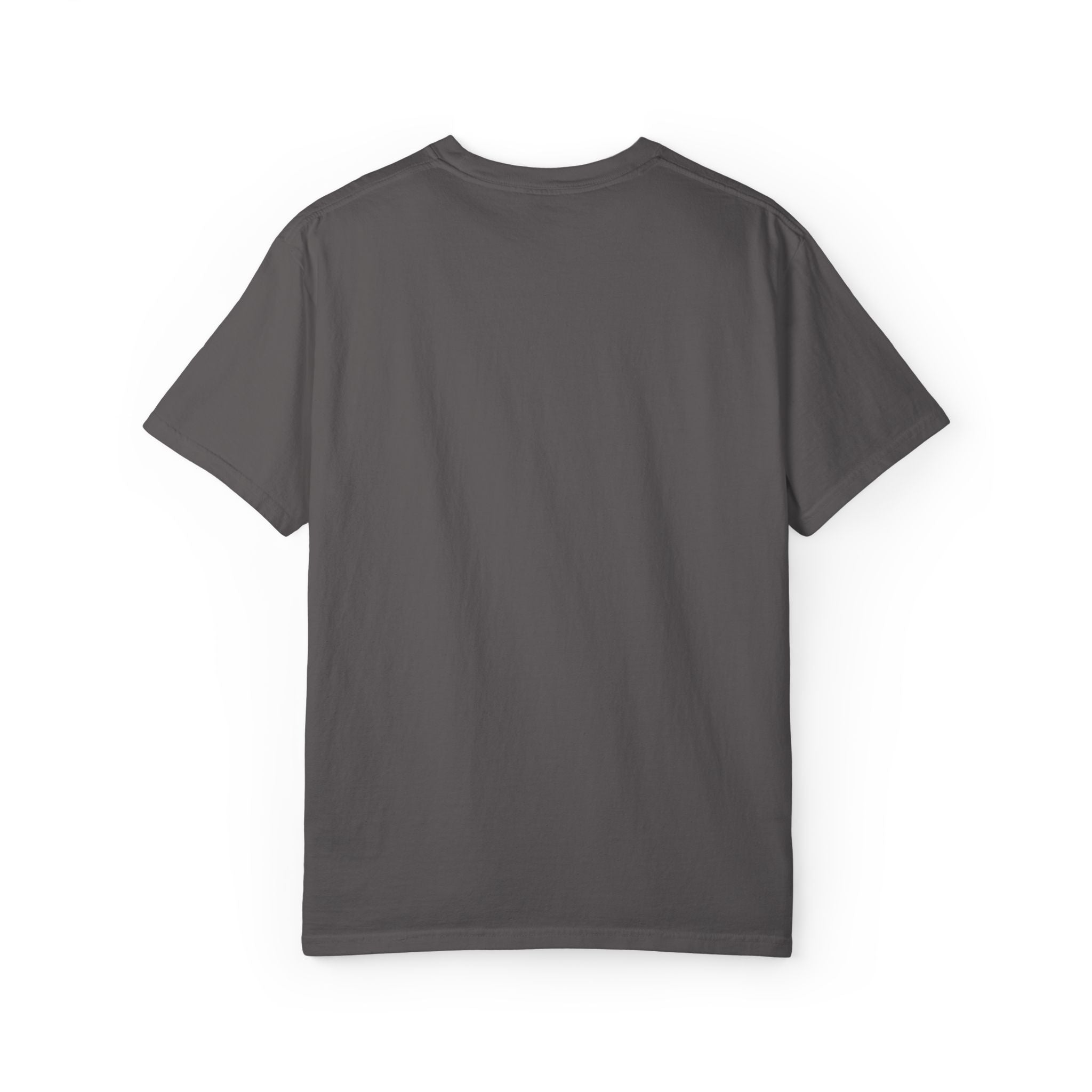 Embroidered Unisex T-shirt - Al mal tiempo, buena cara