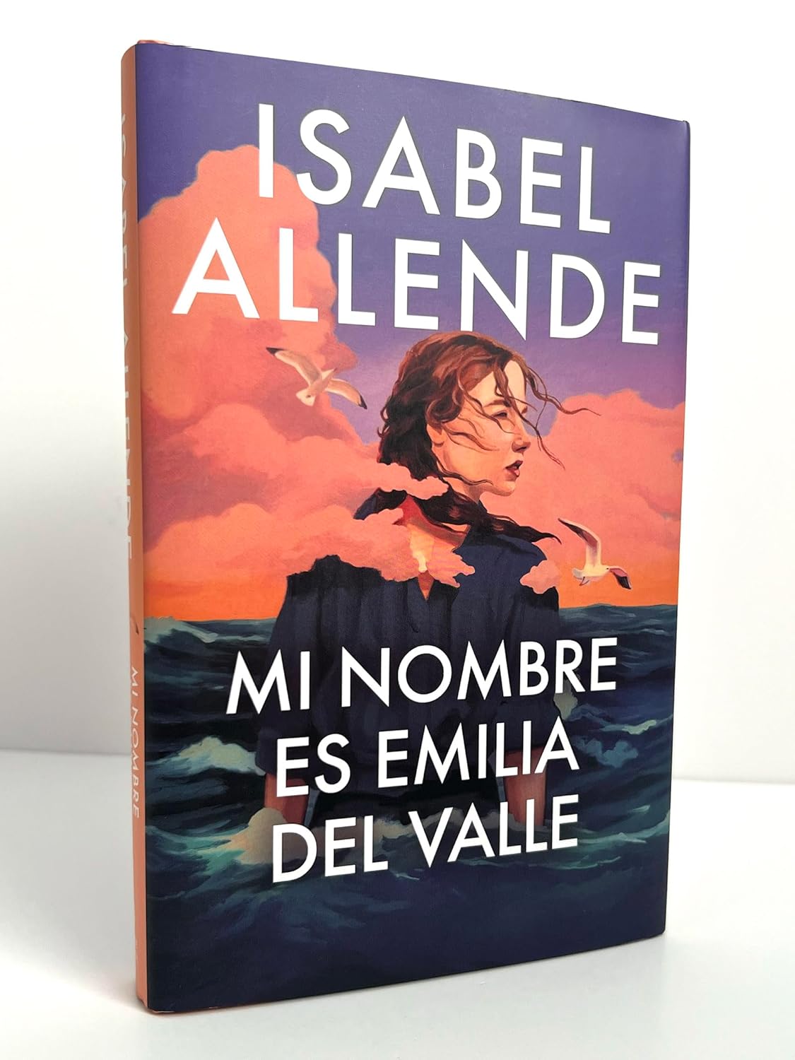 My Name Is Emilia del Valle by Isabel Allende
