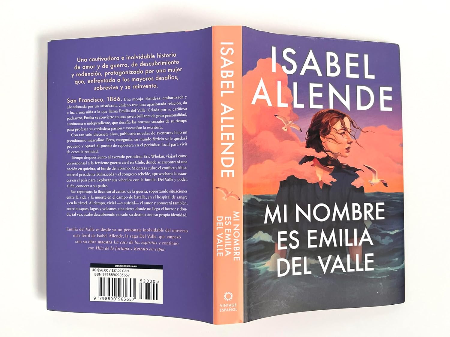My Name Is Emilia del Valle by Isabel Allende