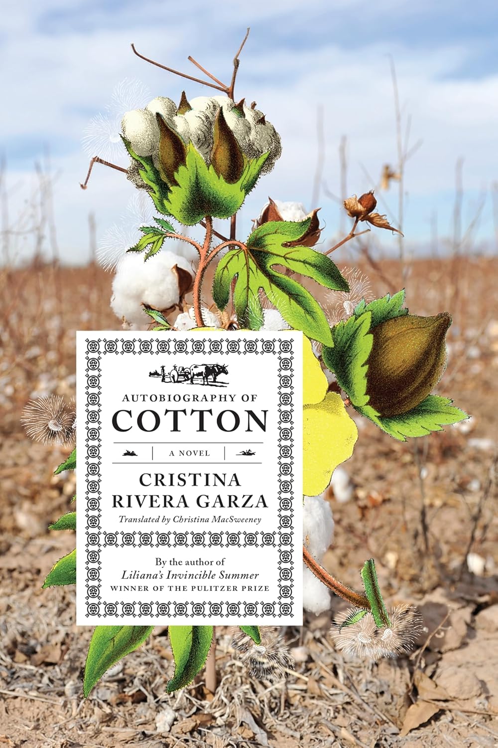 Autobiography of Cotton: A Novel by Cristina Rivera Garza