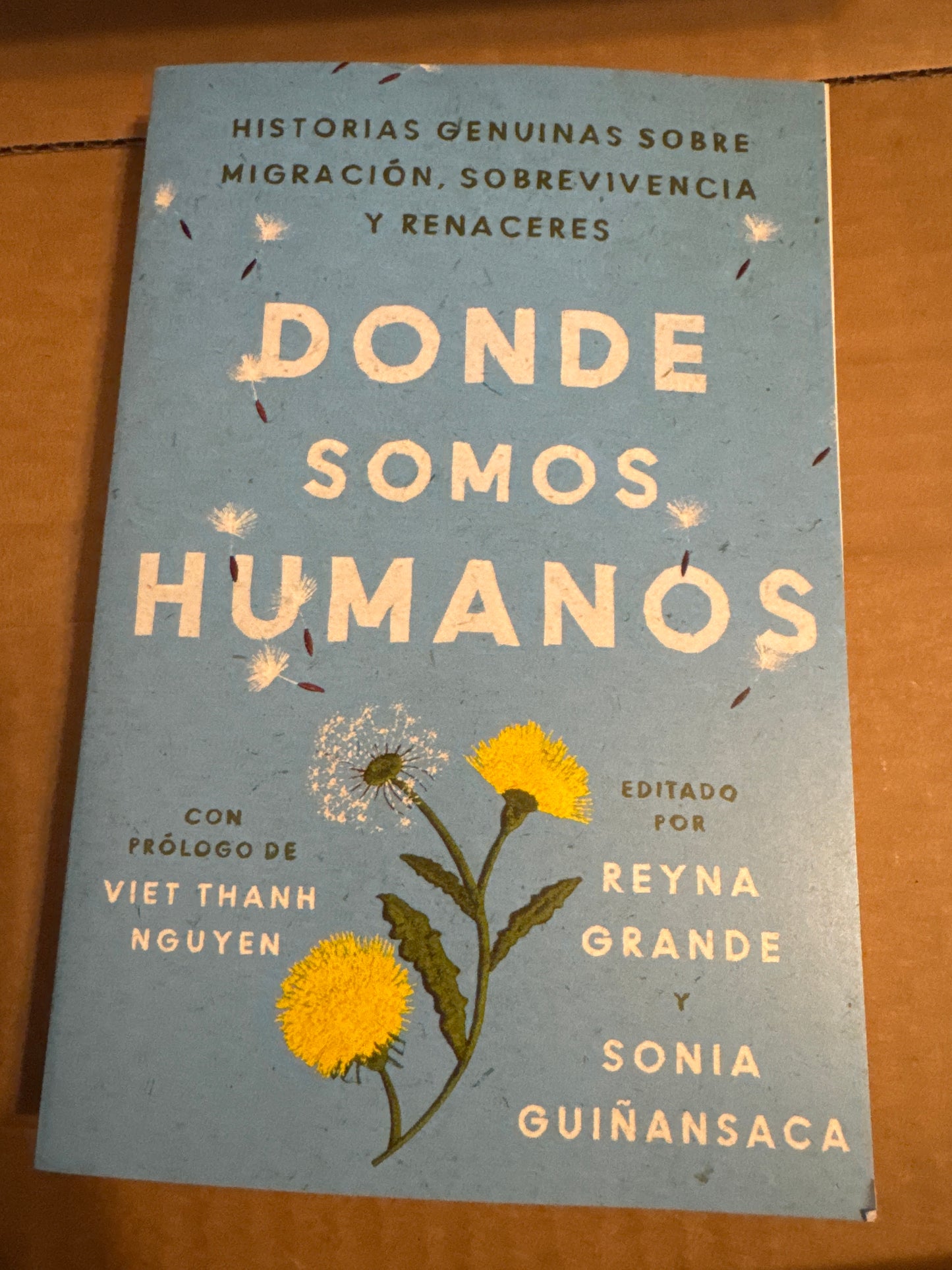 Somewhere We Are Human