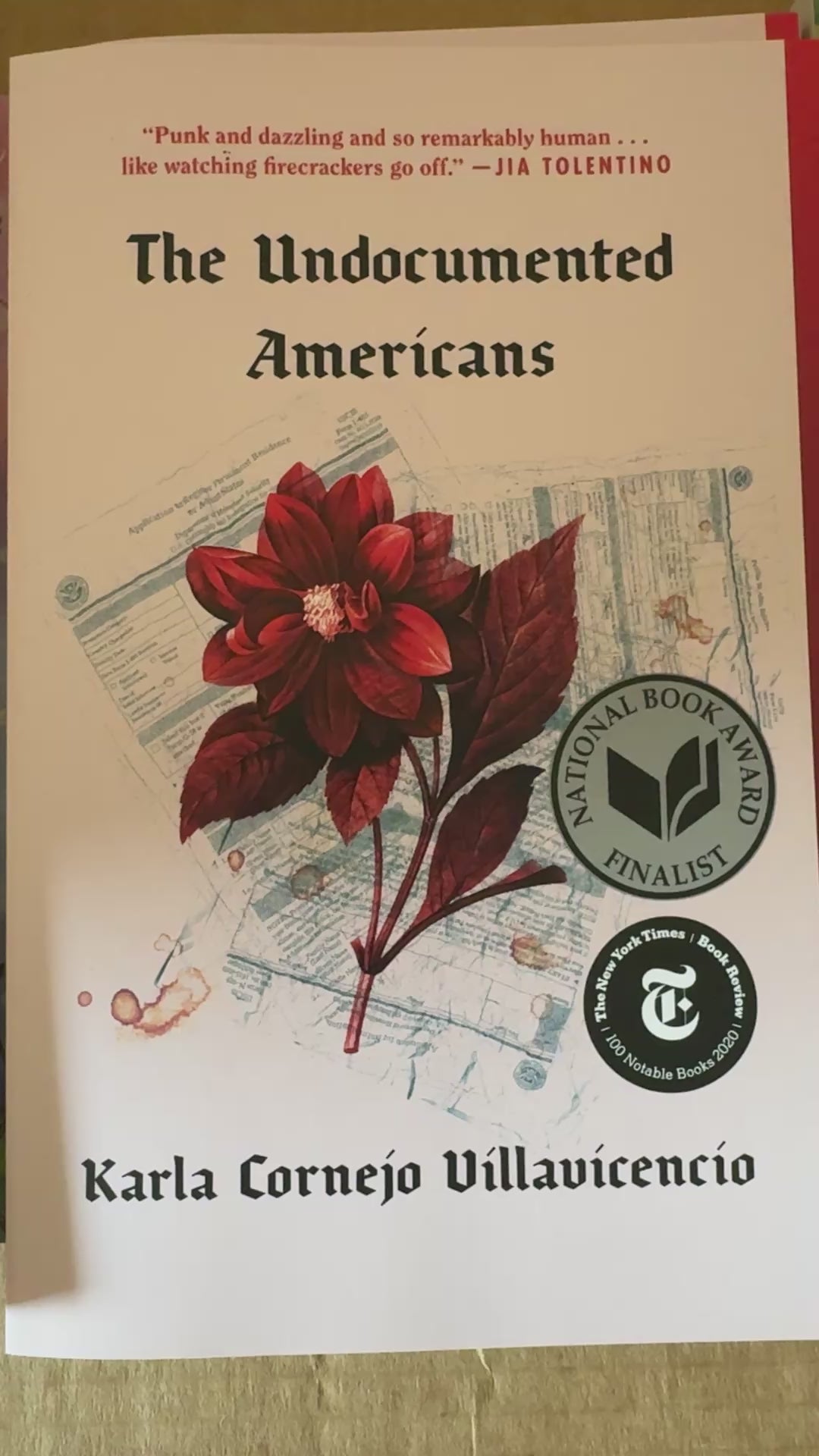 Undocumented Americans by Karla Cornejo Villavicencio